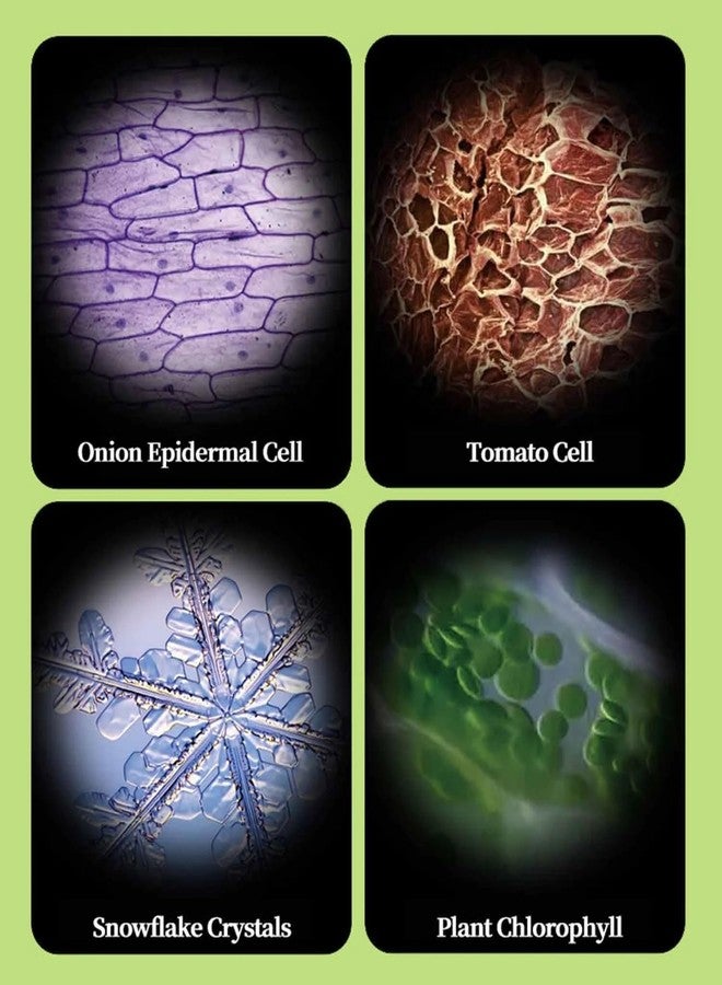 ETZIN Miniscope Pocket Microscope for Kids with 60x-120x Magnification Mini Labsters Portable Microscope for Handheld Micros-cope for Scientific Experiment for Kids 6-12 EPL-1459IM - Image 3